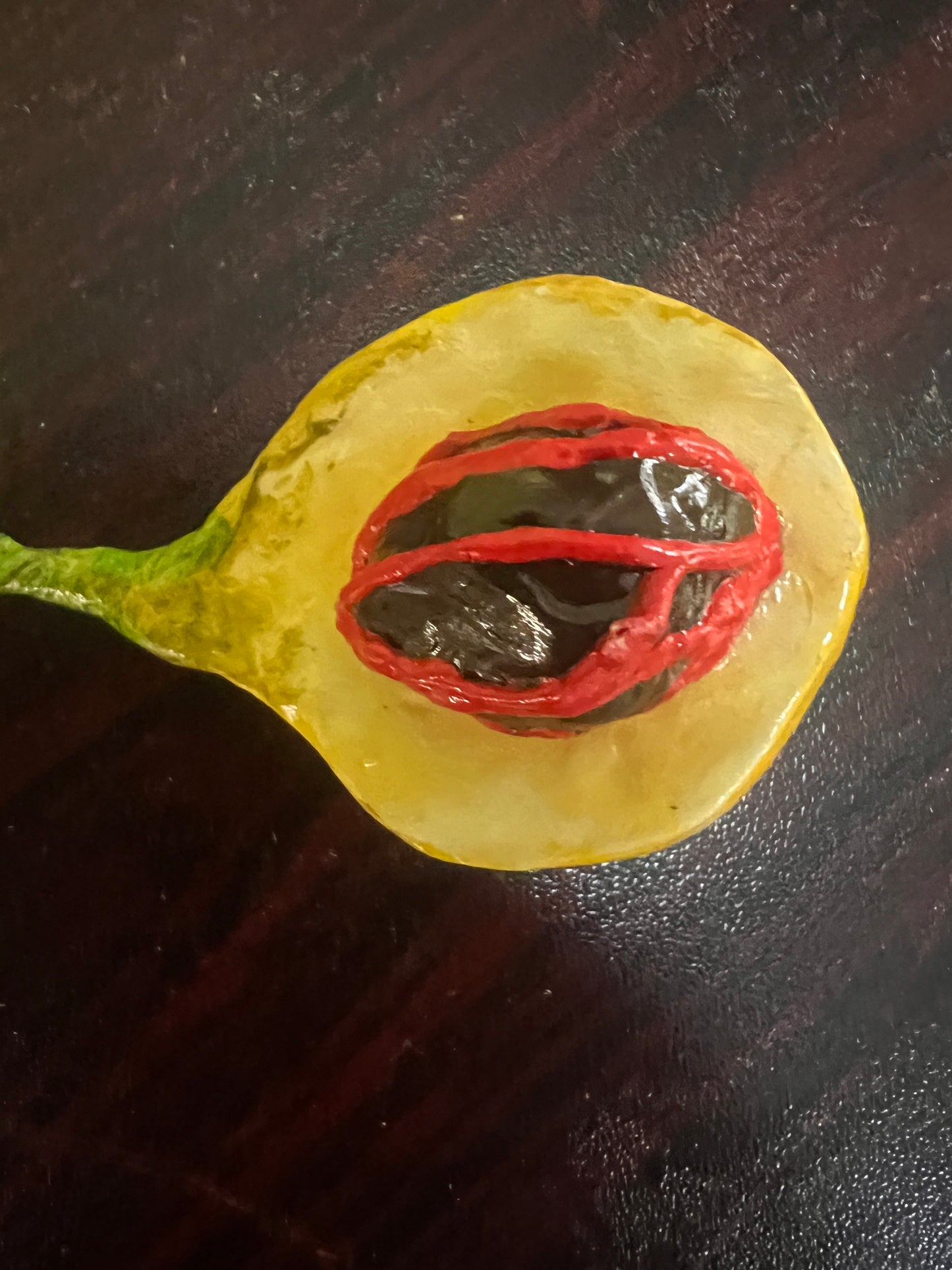 nutmeg-key-chain