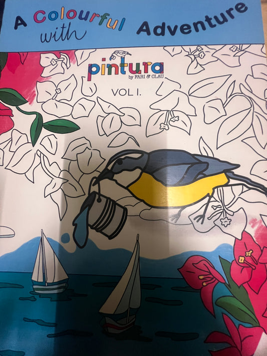 A Colourful Adventure With Pintura Vol.1 Book