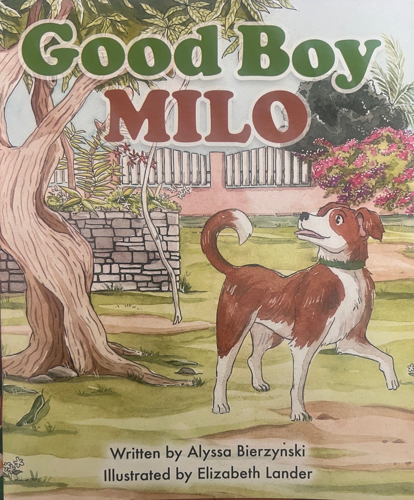Good Boy Milo - Book